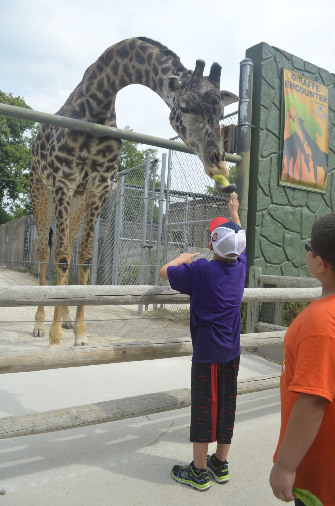 Zoo Summer Camp